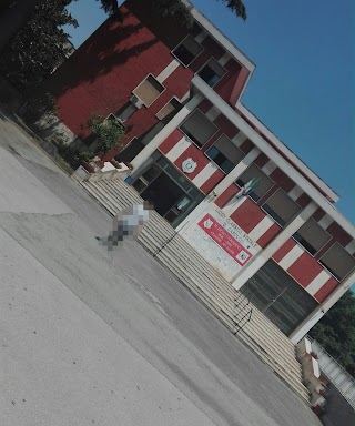 Liceo Classico G. Carducci