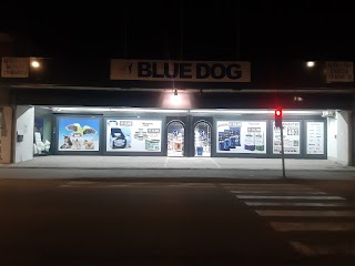 Blue Dog