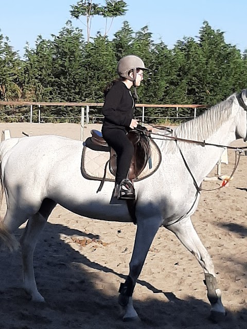 CIRCOLO IPPICO IL CILIEGIO - scuola di equitazione, Pony games, organizzazione compleanni a tema