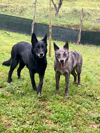 Dog Park La Torretta