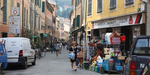 Il Banco Dei Pescatori Di Cappellini Manrico