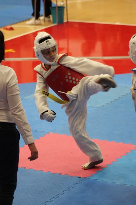 Taekwondo New Fight