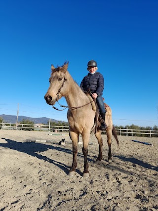 Centro Equestre Bellavista ASD