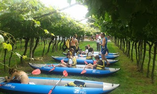 Agriturismo Al Casot