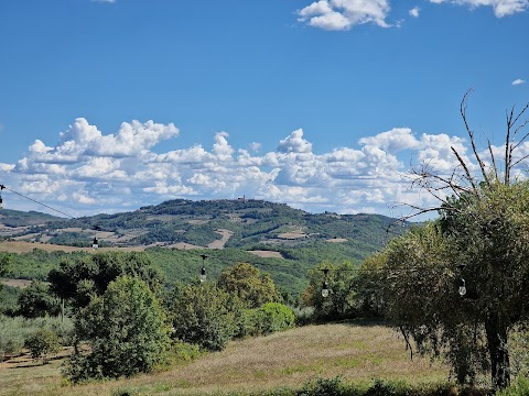 Il Piattoforte