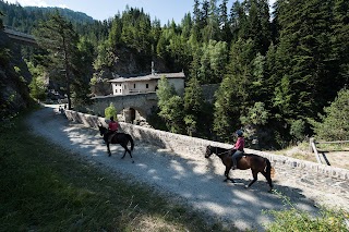 Equitation Haute Maurienne Vanoise