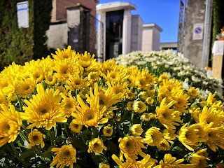 Chiosco - Pinotti Fiori