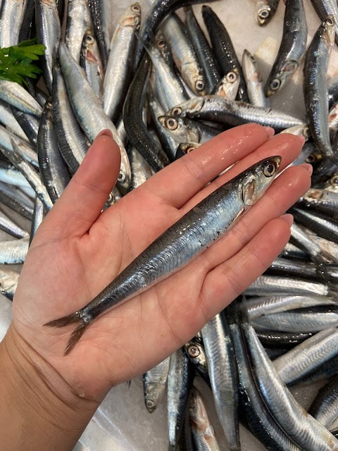 Pescheria L'Oro Del Mare