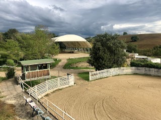 Agriturismo e Circolo Ippico La Zebra