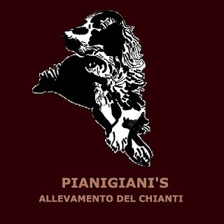 Allevamento Pianigiani's