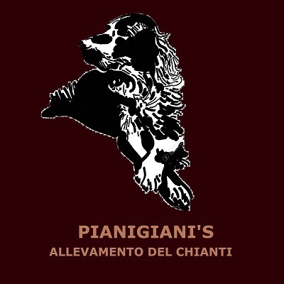 Allevamento Pianigiani's