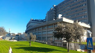 Azienda ospedaliero - universitaria Sant'Andrea