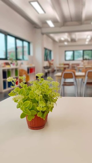 Il Giardino del Sapere - Educazione montessoriana