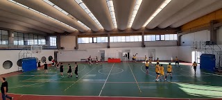 FRECCE ROMANE BASKET