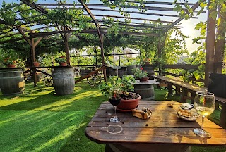 Piscina Mirabile - Azienda Agricola