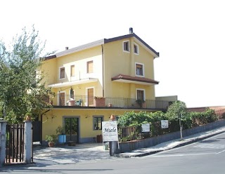 ORO d'Etna - Azienda Agricola Costa - L'apicoltura