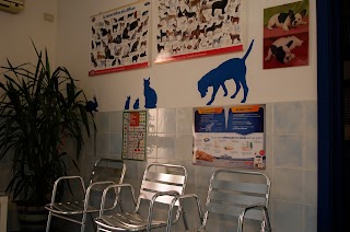 AMBULATORIO VETERINARIO ASSOCIATO BOSCAINI-FABBRI