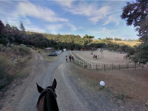 Centro Equestre Il Baio Oscuro