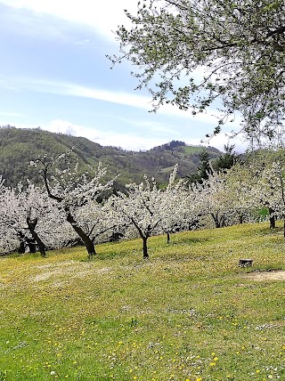 Agriturismo "Il Cerro"