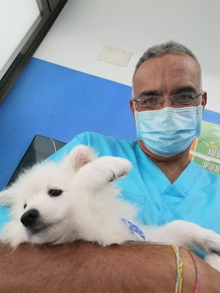 Ambulatorio Veterinario Tasca Lanza - Dr.Fabrizio Di Pietra