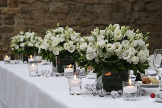 Gardenia Di Mannini Massimo Firenze