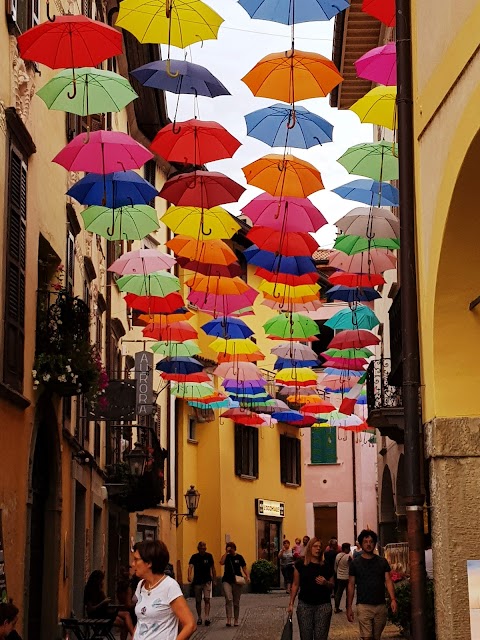 Trani Braceria Pizzeria