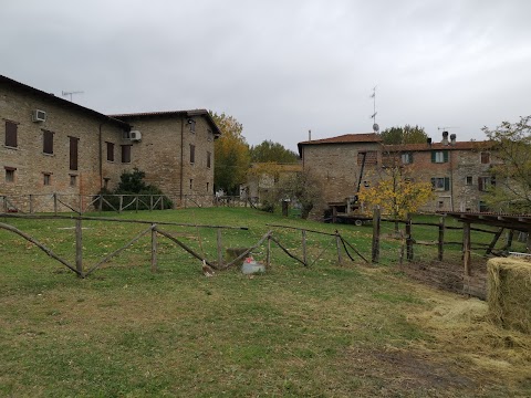 Agriturismo Manuela Di Agricola Federica