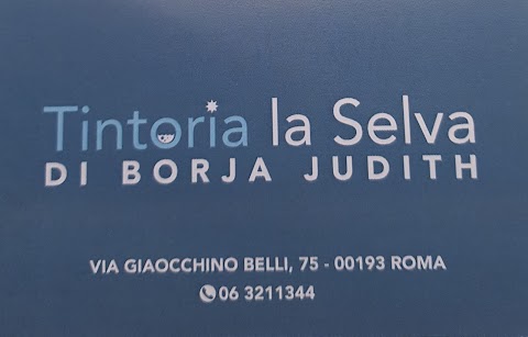 Tintoria La Selva Di Borja Judith