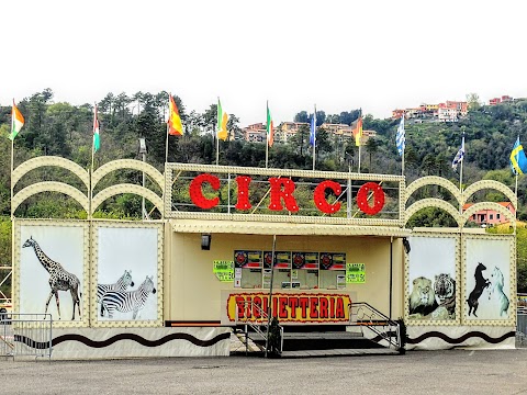 CIRCO MILLENNIUM