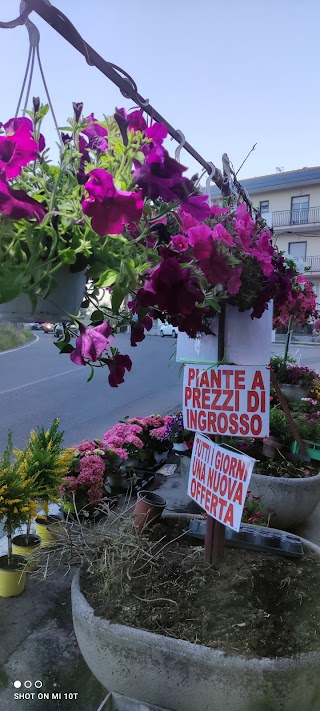 Il Paradiso dei Fiori