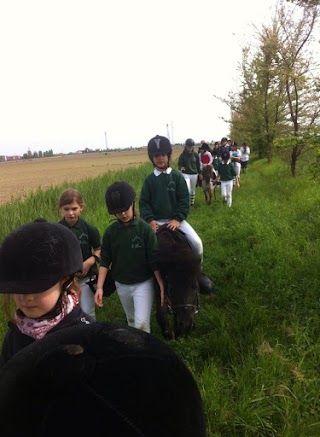 ASD Centro di Equitazione il Bosco