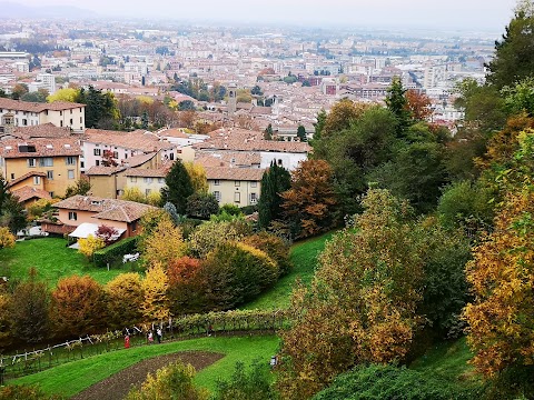 LA MARGÌ - Nadia Mangili Guida turistica di Bergamo