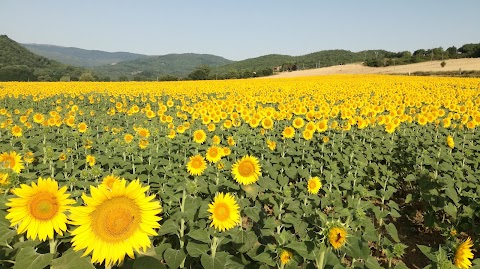 Podere Verdi Colline