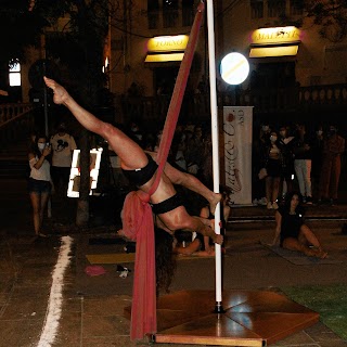 Pole Dance Scandiano e Albinea Pole_Xtra