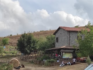 La Collina degli Asinelli