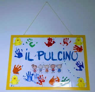 Asilo Il Pulcino