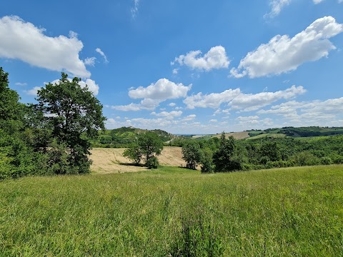 Riserva naturale Salse di Nirano