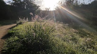 Comitato Promotore Parco della Cellulosa