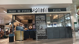 spontini