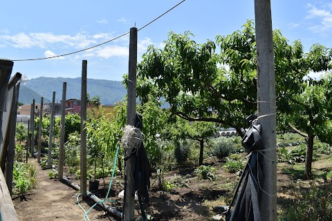 La Fattoria di Nonno Gildo di Maria Abagnale