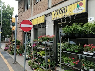 Plante Fiori