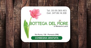 La Bottega del Fiore di Manzone Laura