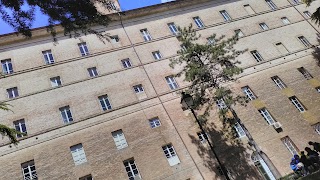 Università degli Studi di Perugia