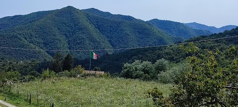 Turismo nel verde gallonero