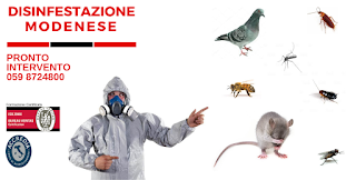 Disinfestazione Modenese