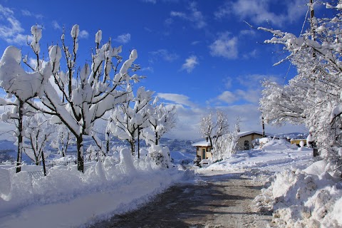 Agriturismo La Palazzina di Ciagnano