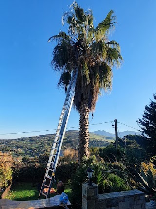 A.M.A. Servizi di Giardinaggio-Abbattimento Alberi-Giardiniere Palermo