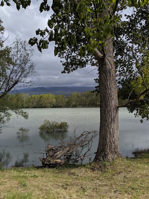 Lago Gurrida