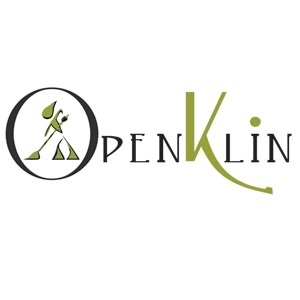 Openklin Impresa di Pulizie