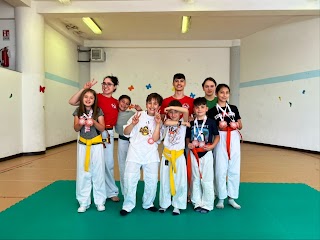 Taekwondo Kickboxing Nemi